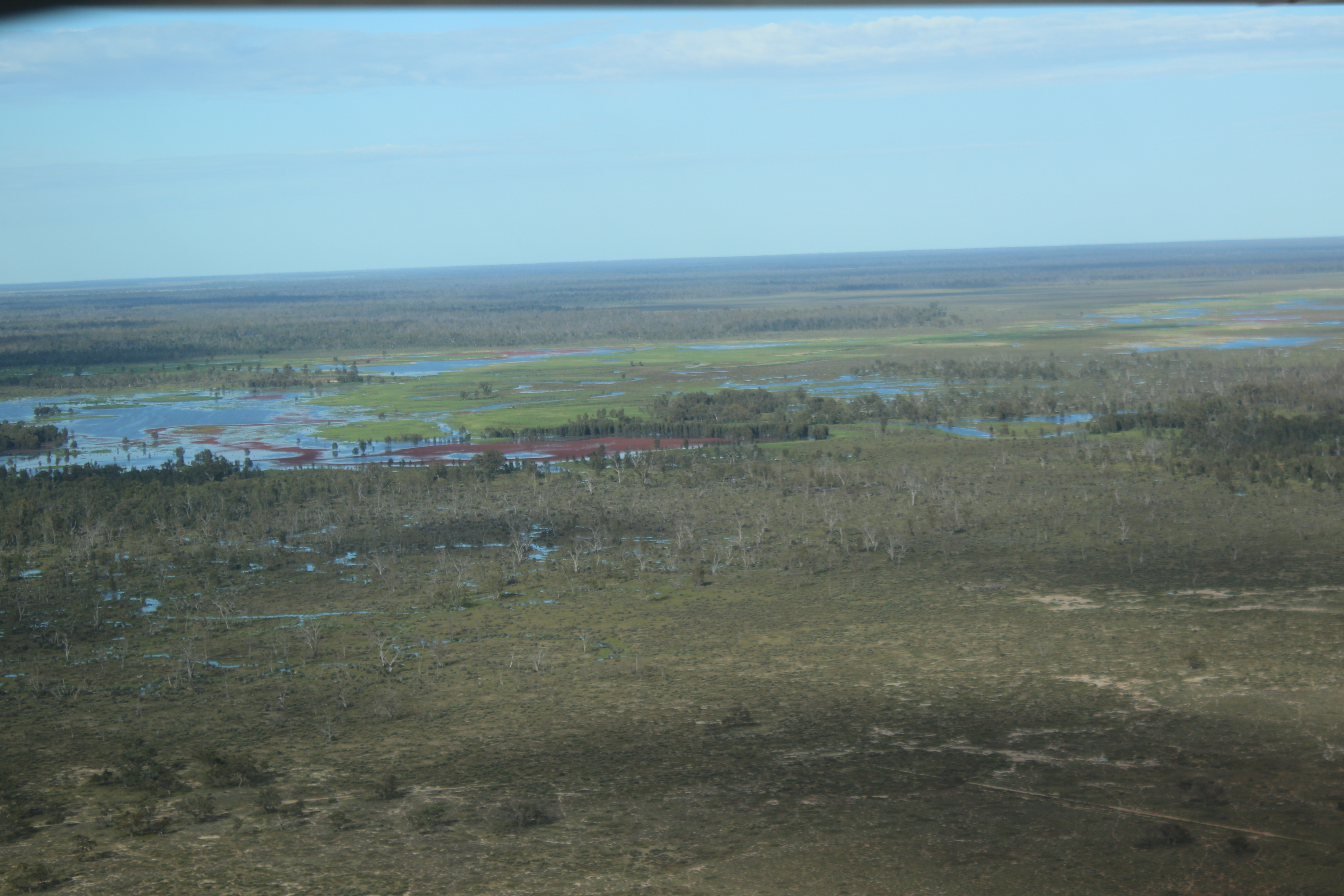 Great Cumbung Swamp and adjacent wetlands.