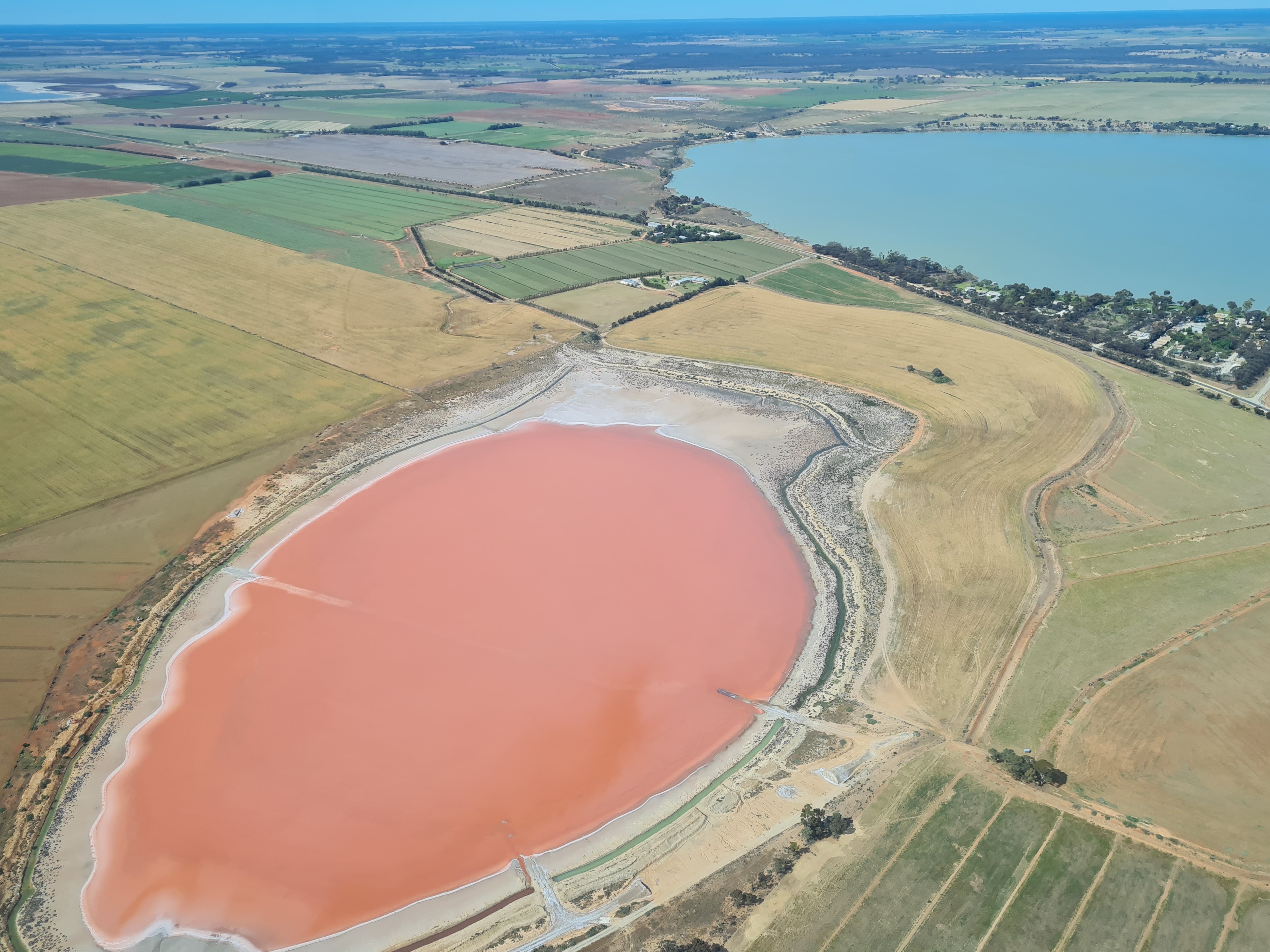 One of the dry salt lakes (pink) with the freshwater Kerang Lake in the background.
