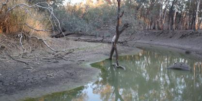 Drying Macquarie River which supplies the Macquarie Marshes, location for upstream re-regulating storage